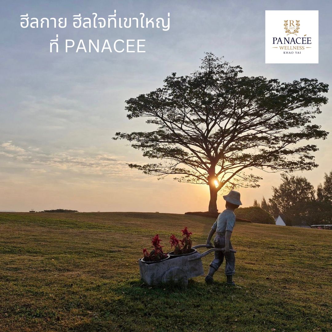 Panacee Wellness Khaoyai Clinic